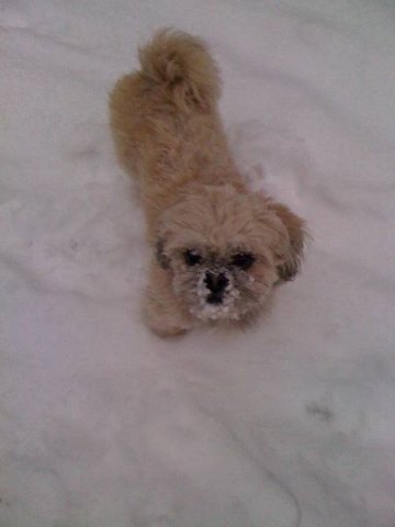 beim_spielen_20100628_1336870286