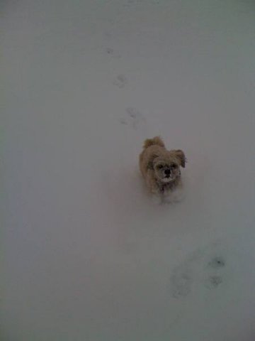 beim_spielen_20100628_1465422882