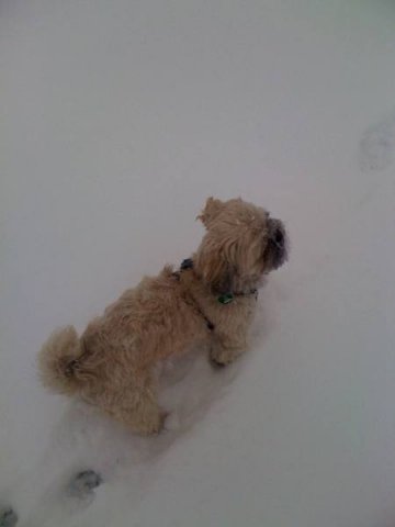 beim_spielen_20100628_1643603690