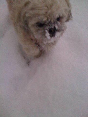 beim_spielen_20100628_1853022013