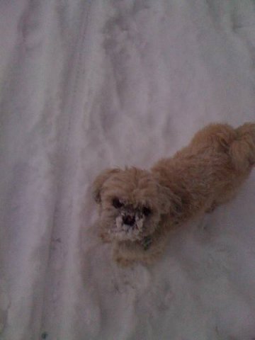 beim_spielen_20100628_1875560423