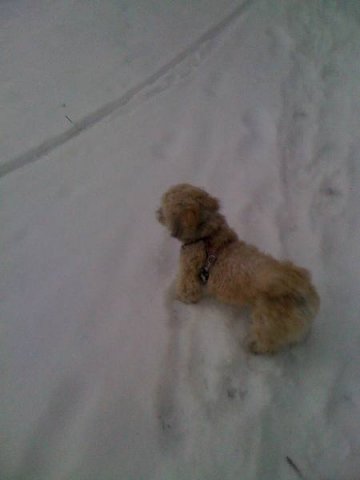 beim_spielen_20100628_2008588412