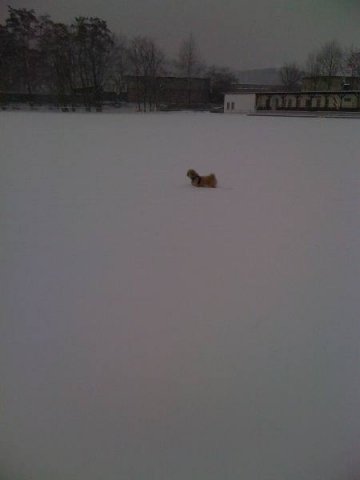 beim_spielen_20100628_2029977456