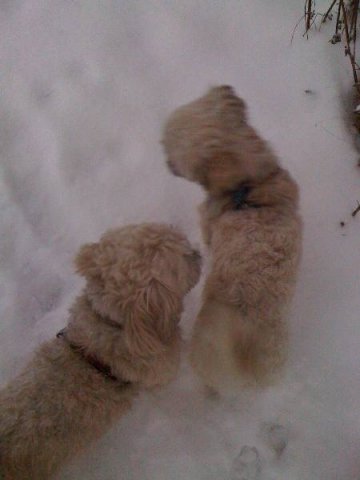 beim_spielen_20100628_2057521839