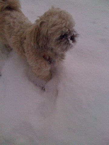 beim_spielen_20100628_2087794806