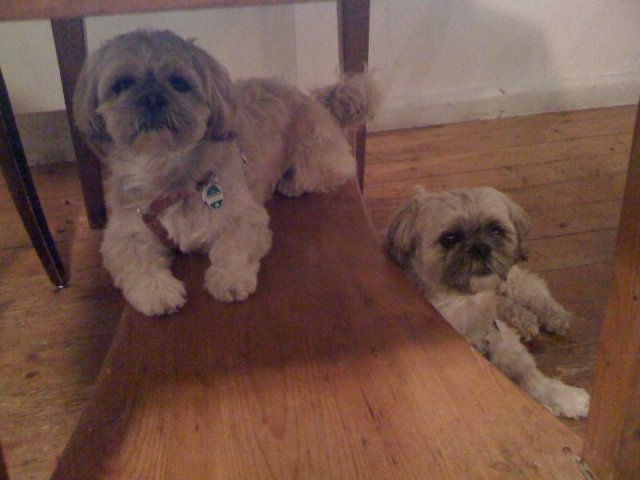 in_der_eifel_20100628_1991023909