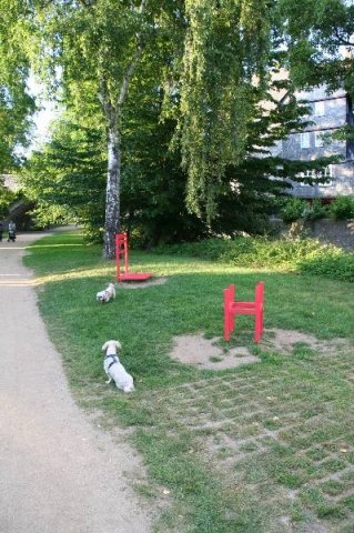 optikparcours_20100628_1010047077