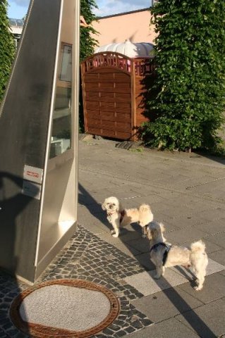 optikparcours_20100628_1039722896