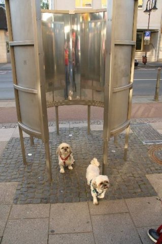 optikparcours_20100628_1321353008