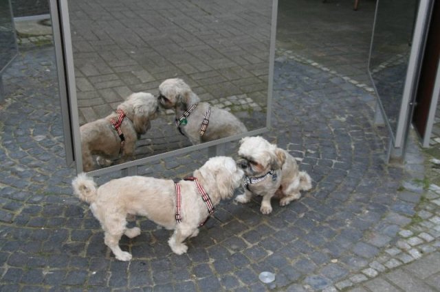 optikparcours_20100628_1354116688