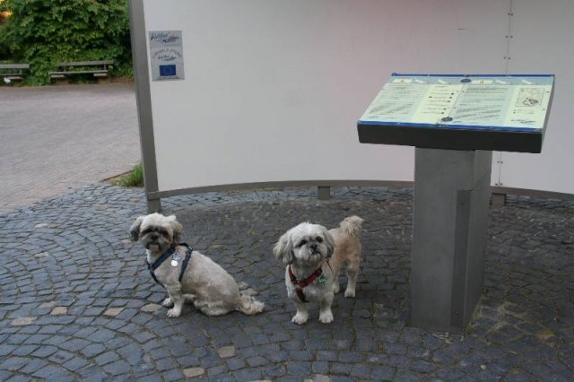 optikparcours_20100628_1425304471