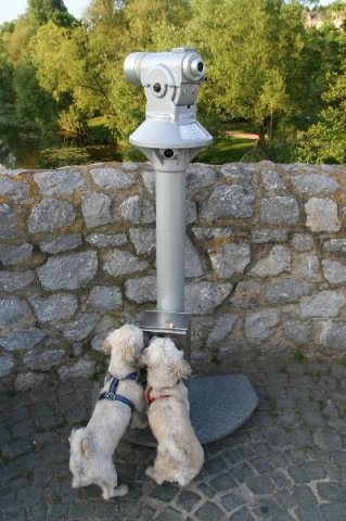 optikparcours_20100628_1617246564