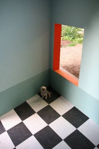 optikparcours_20100628_1631707860