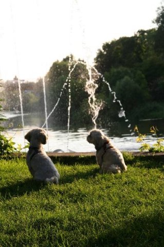 optikparcours_20100628_1636551272