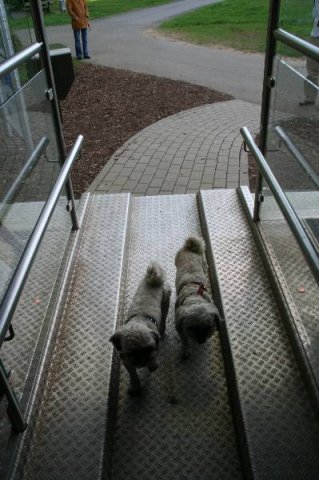 optikparcours_20100628_1736710977