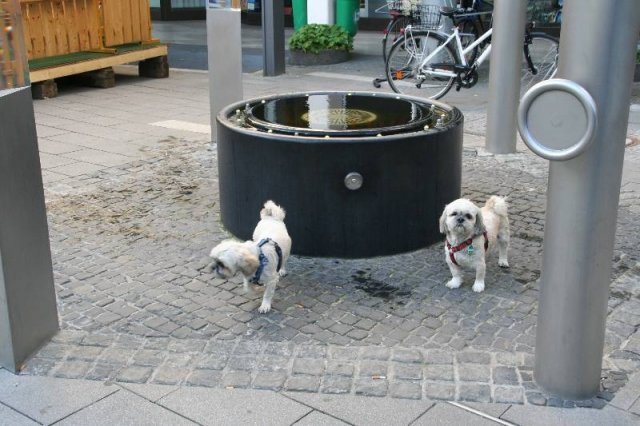 optikparcours_20100628_1792581136