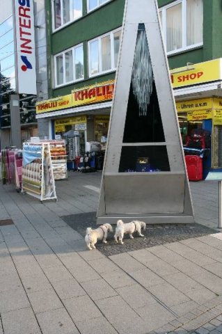 optikparcours_20100628_1881090611