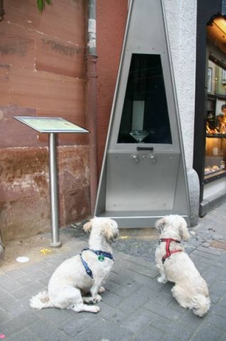 optikparcours_20100628_1933860173