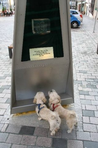 optikparcours_20100628_1983163762