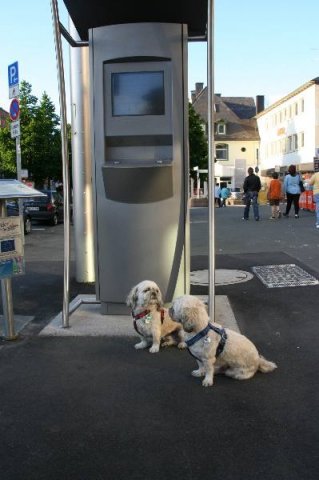 optikparcours_20100628_1990954186