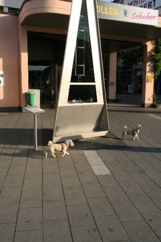 optikparcours_20100628_2043237287