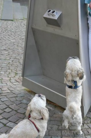 optikparcours_20100628_2073415695